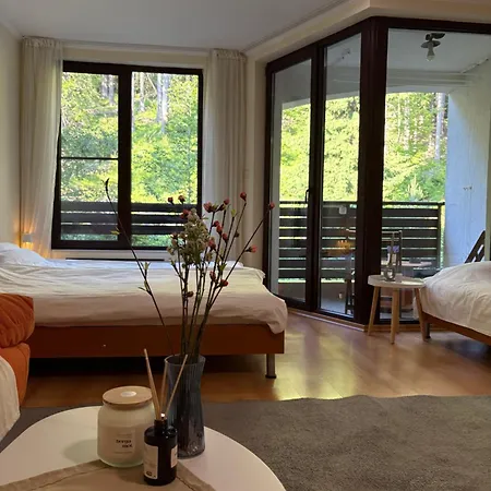 николай желев-първи еоод Apartment