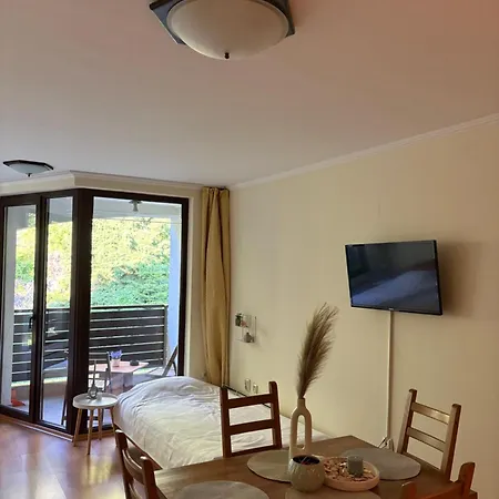 Nj1 Apartment * Pamporovo