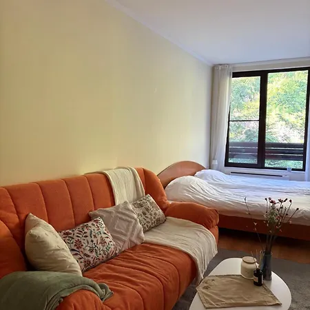 николай желев-първи еоод * Pamporowo