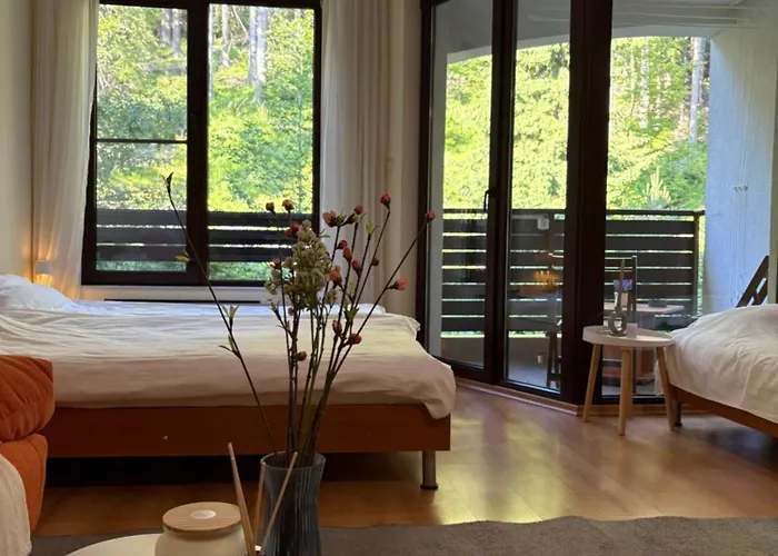 николай желев-първи еоод Apartament