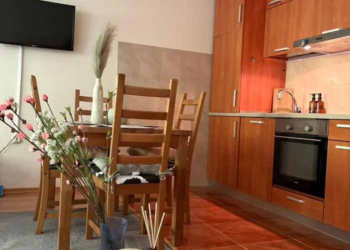 Apartament николай желев-първи еоод *