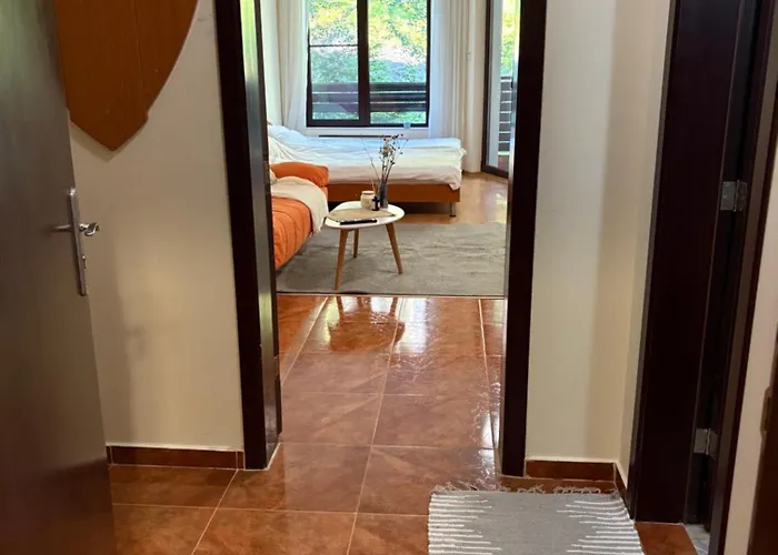 николай желев-първи еоод Apartament