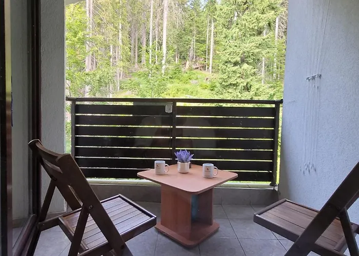 николай желев-първи еоод Apartament